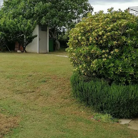 Sindi 3 Apartment